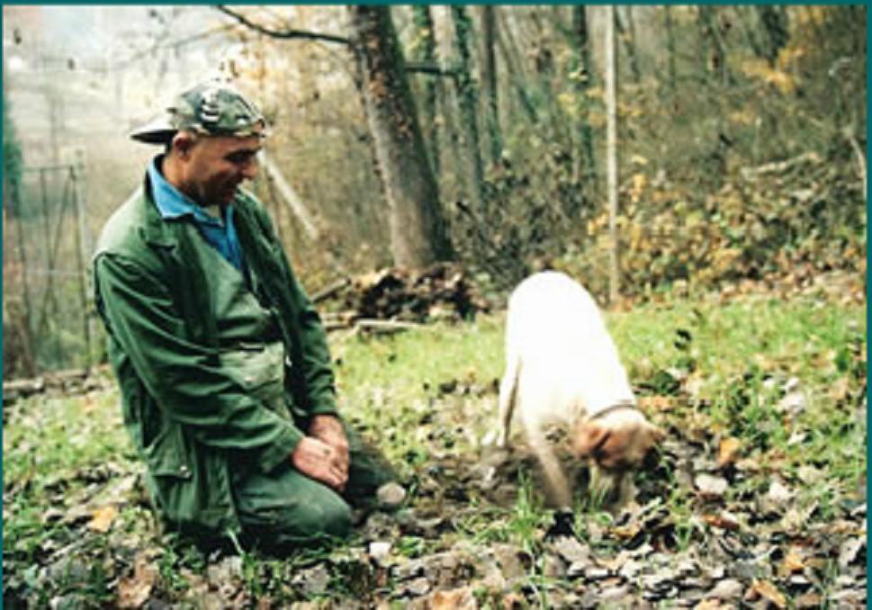 Penzion Profumi... Vinchio Exteriér fotografie